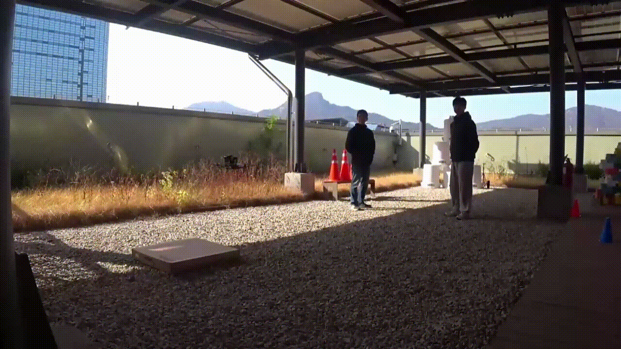 Motion primitive-based Tracking